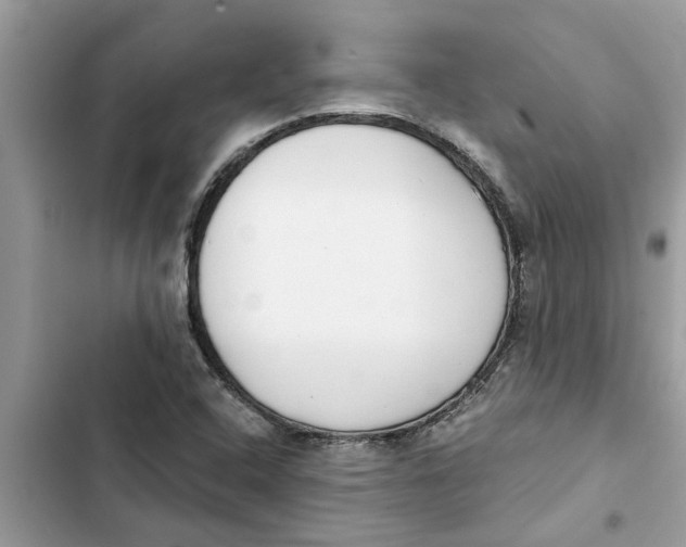 X0000103261408200809191707