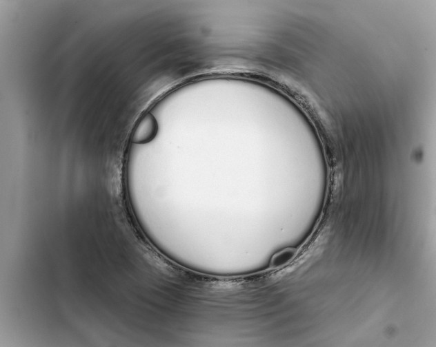 X0000103261409200809191707