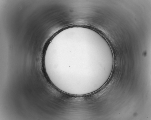 X0000103261410200809191707