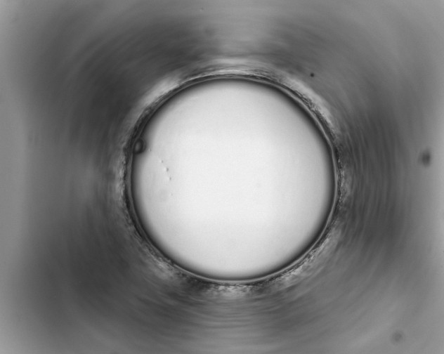 X0000103261411200809191707