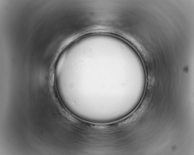 X0000103261413200809191708