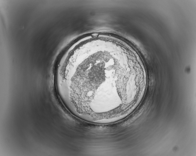 X0000103261414200809191708