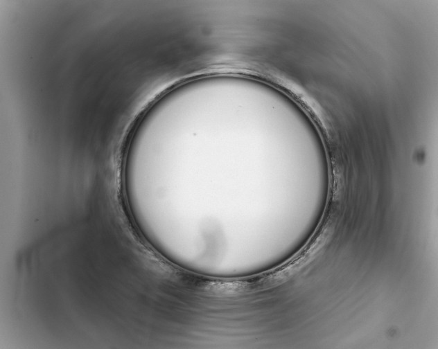 X0000103261415200809191708