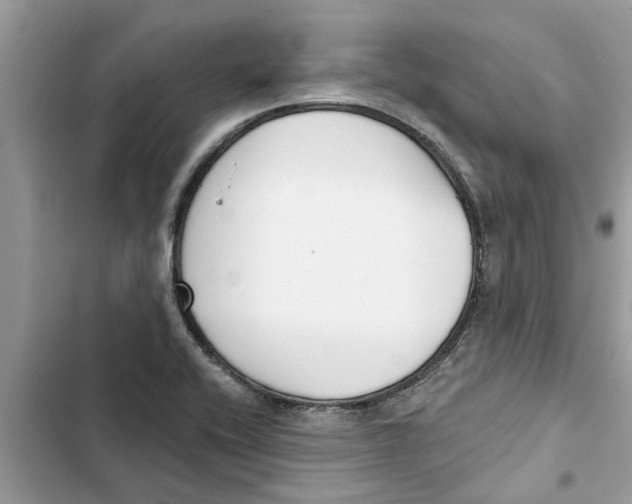 X0000103261416200809191708