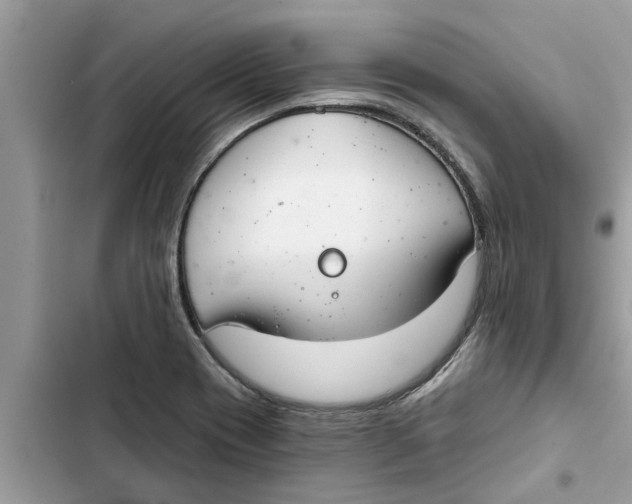 X0000103261417200809191708