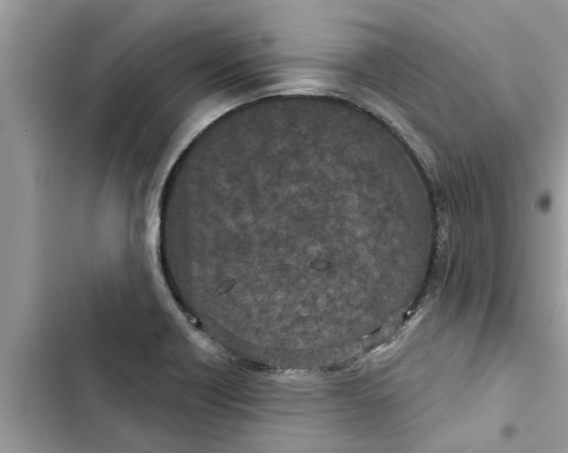 X0000103261418200809191708