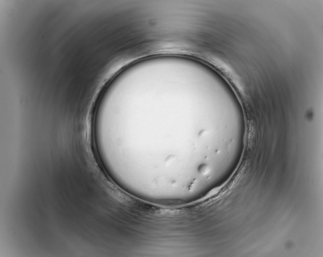 X0000103261419200809191708