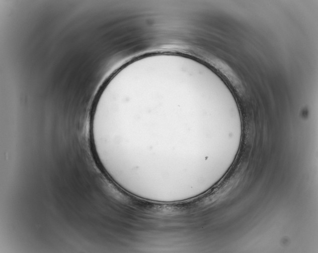 X0000103261420200809191708