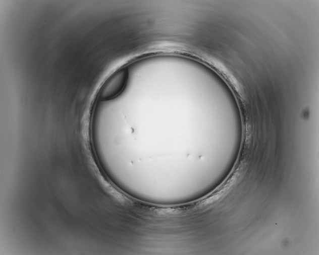 X0000103261421200809191708