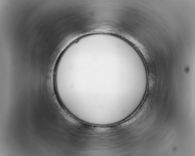 X0000103261423200809191708