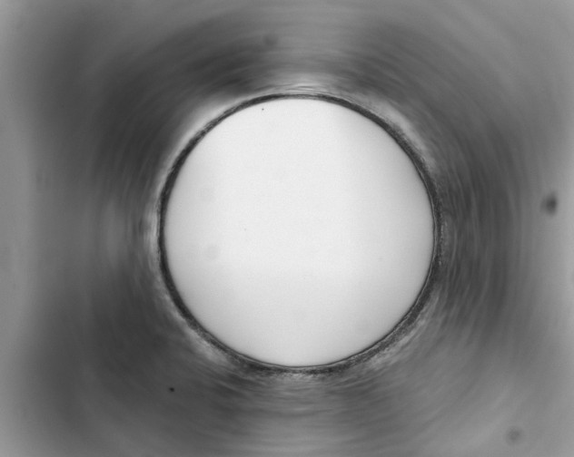 X0000103261424200809191708