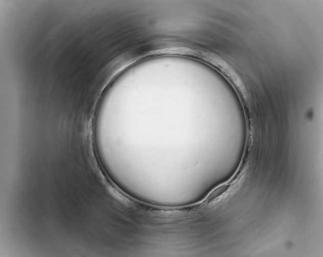 X0000103261425200809191708