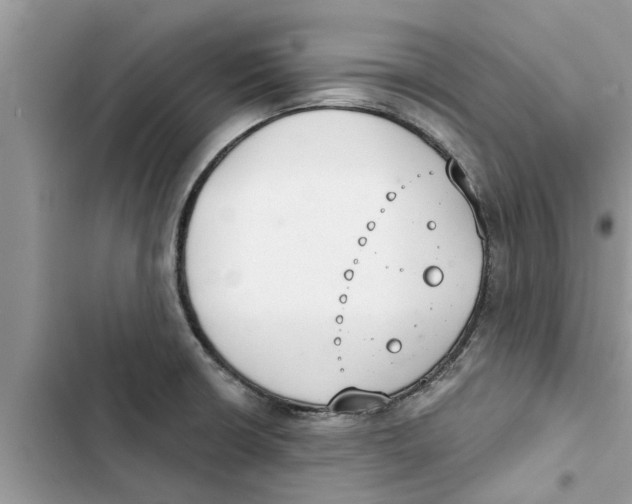 X0000103261426200809191708