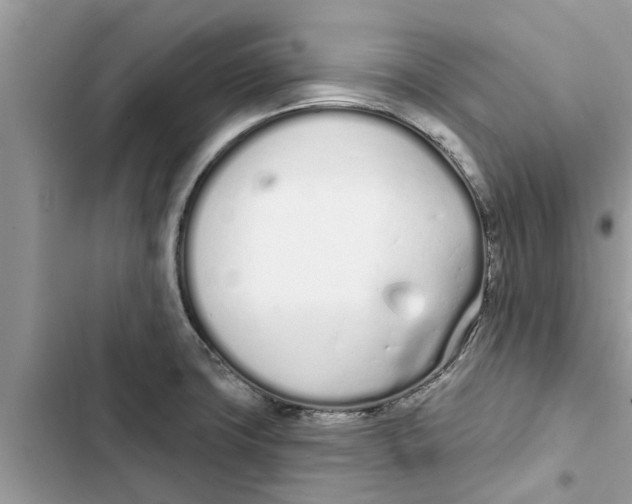 X0000103261427200809191708