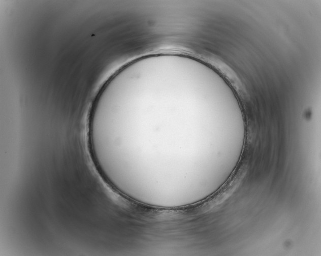 X0000103261430200809191708