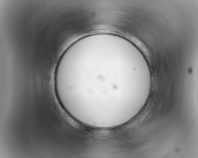 X0000103261431200809191708