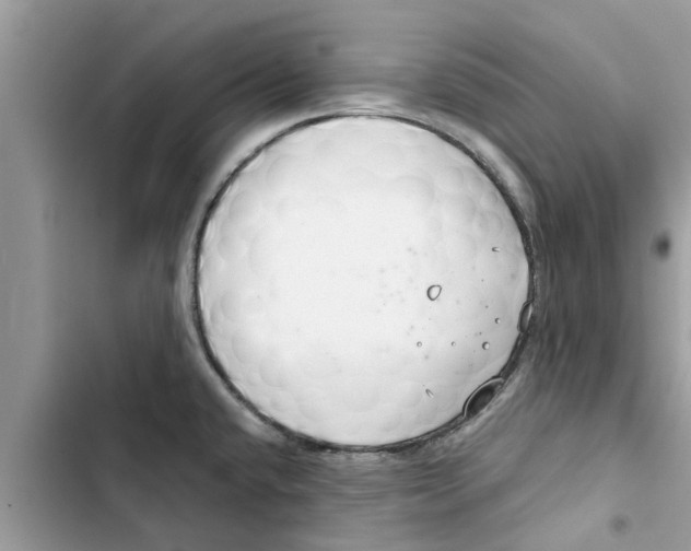 X0000103261432200809191708