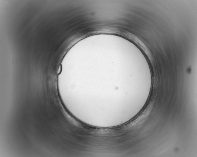 X0000103261433200809191708