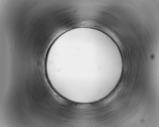 X0000103261434200809191708