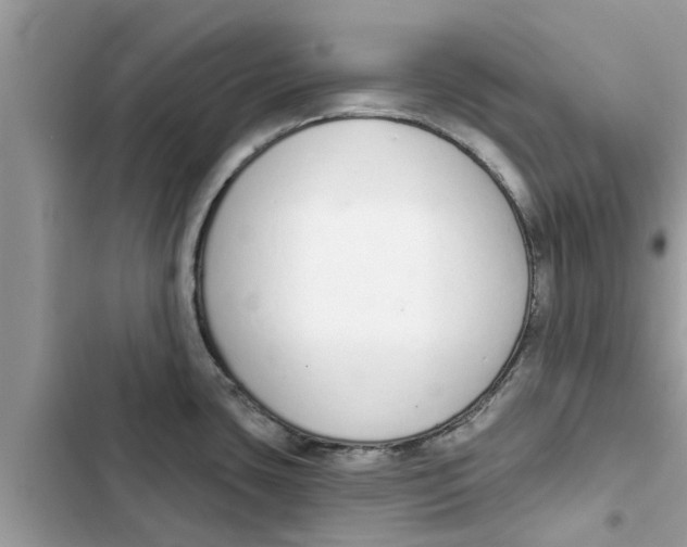 X0000103261435200809191708