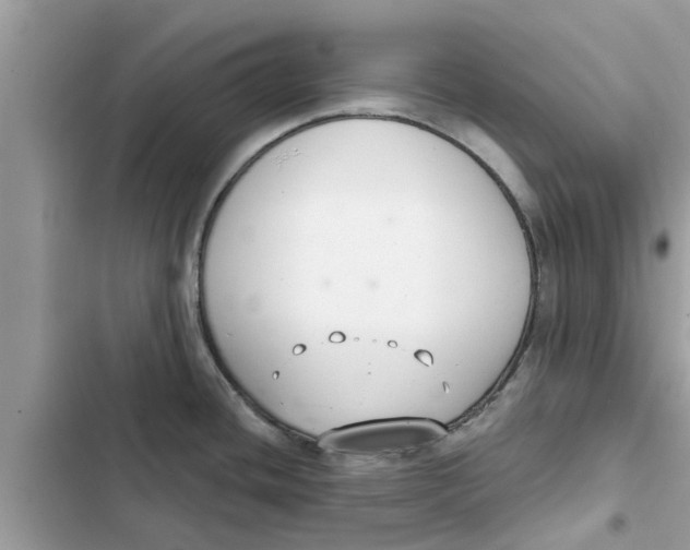 X0000103261436200809191708