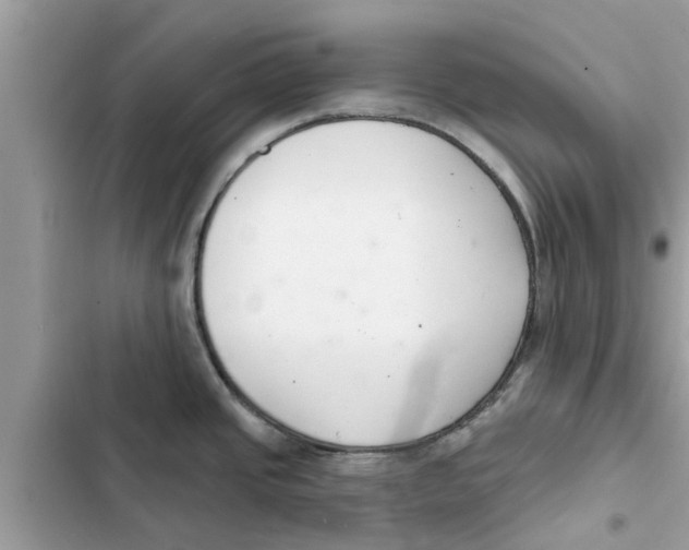 X0000103261437200809191708