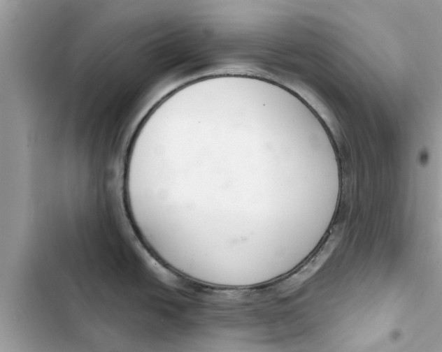 X0000103261438200809191708