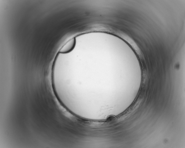 X0000103261439200809191708