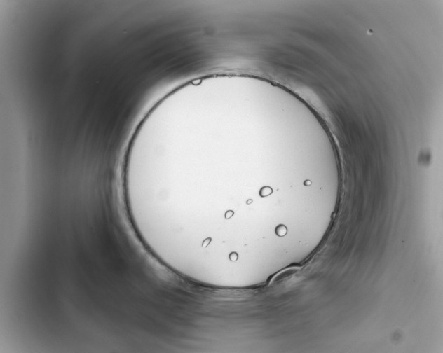 X0000103261440200809191708