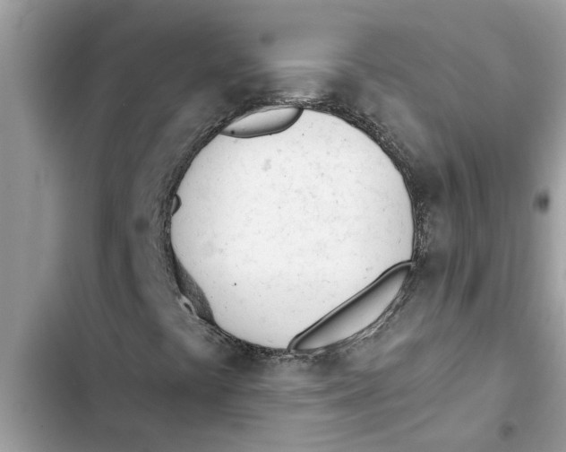 X0000103261441200809191707