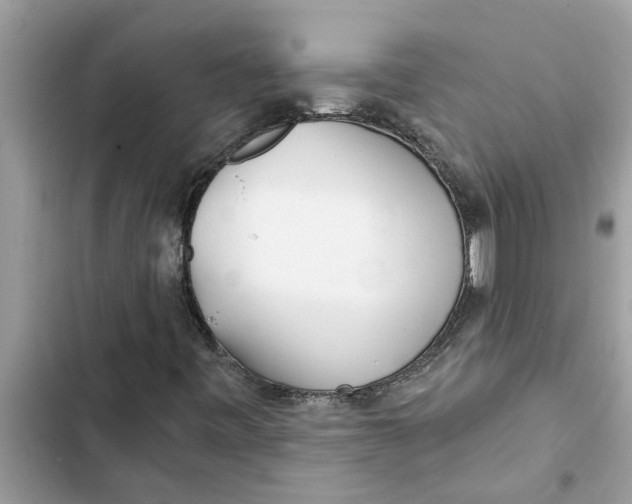 X0000103261443200809191707