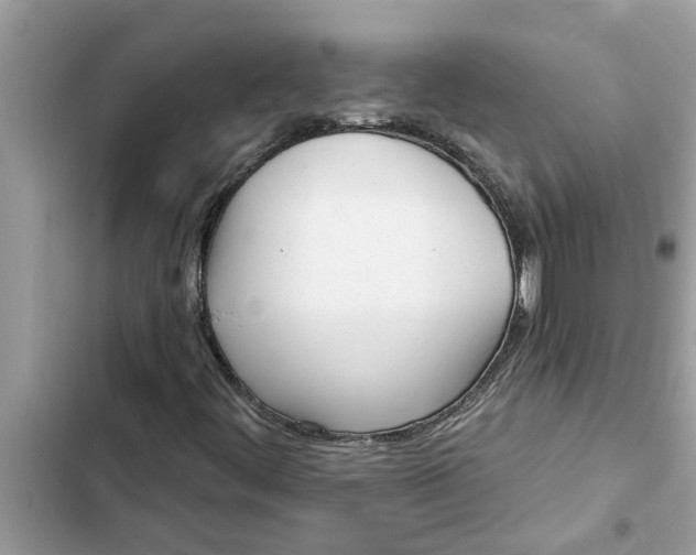 X0000103261444200809191707