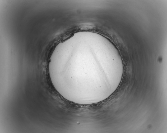 X0000103261445200809191707