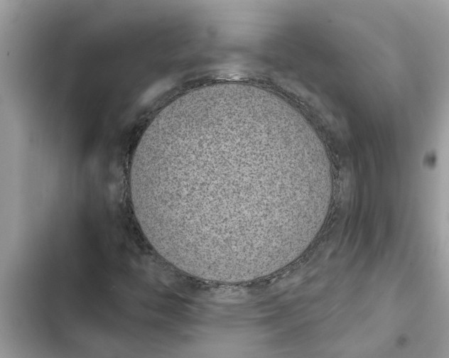 X0000103261446200809191707