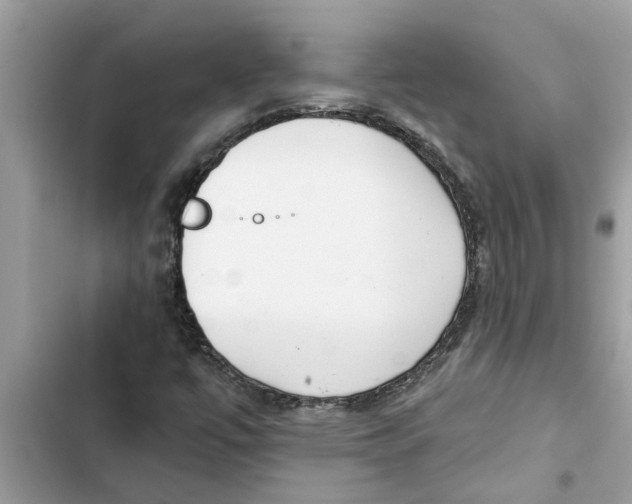 X0000103261447200809191707