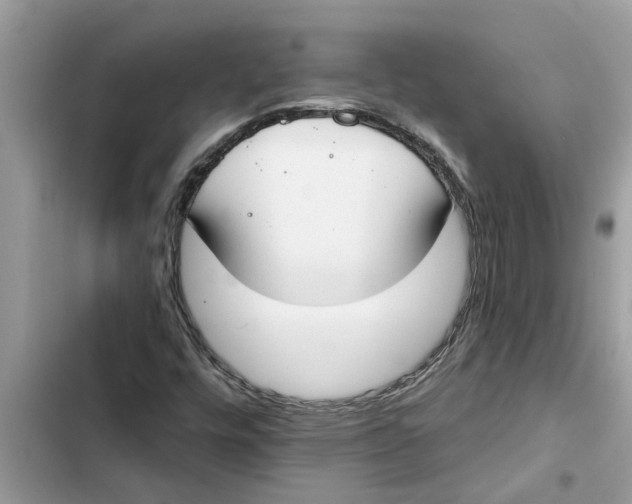 X0000103261448200809191707