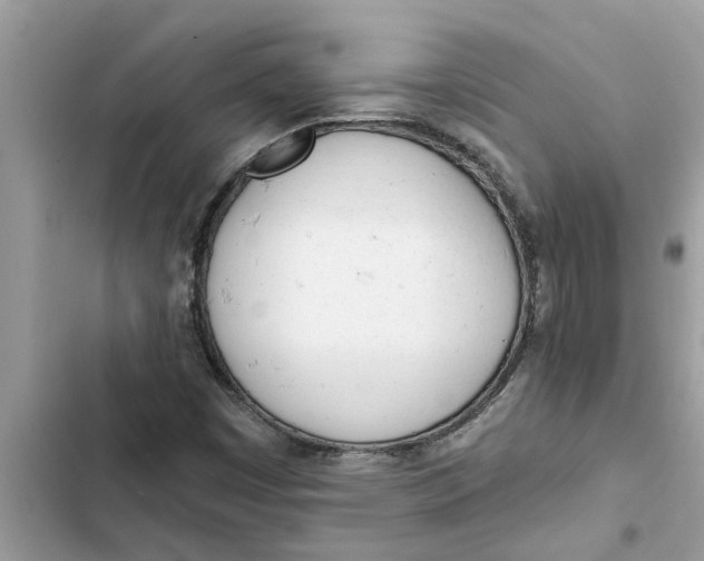 X0000103261449200809191707