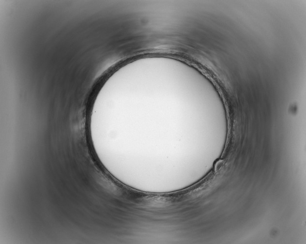 X0000103261450200809191707