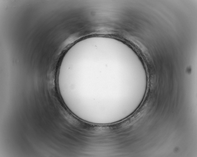 X0000103261451200809191707