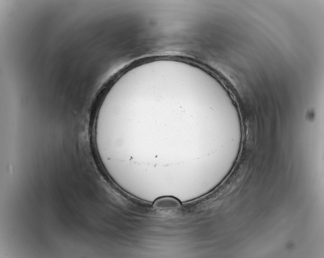 X0000103261452200809191707