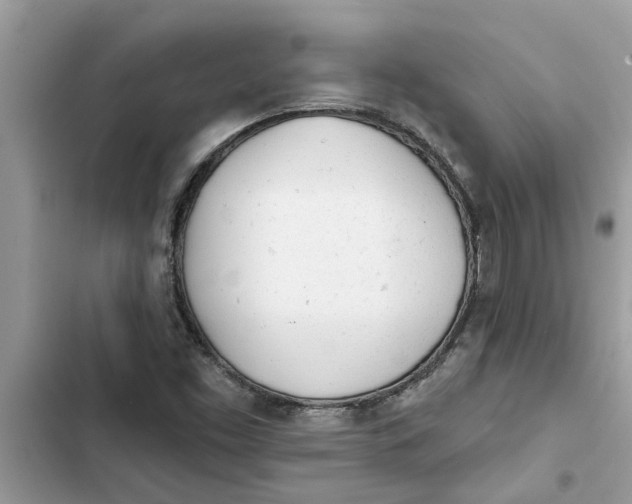 X0000103261453200809191707