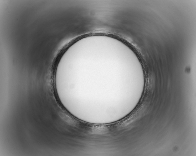 X0000103261454200809191707