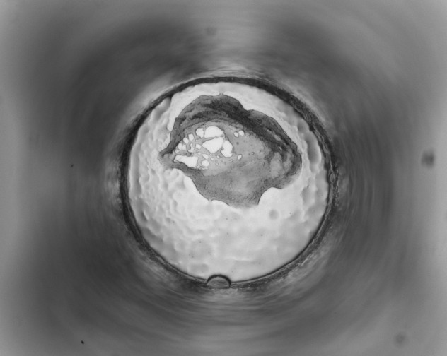 X0000103261455200809191707