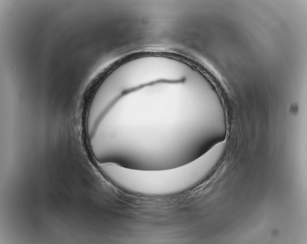 X0000103261456200809191707