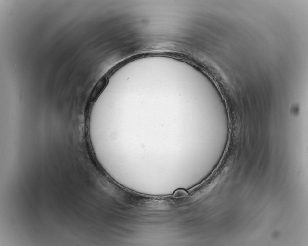 X0000103261457200809191707