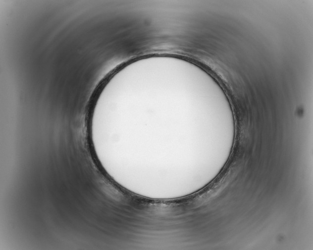 X0000103261458200809191707