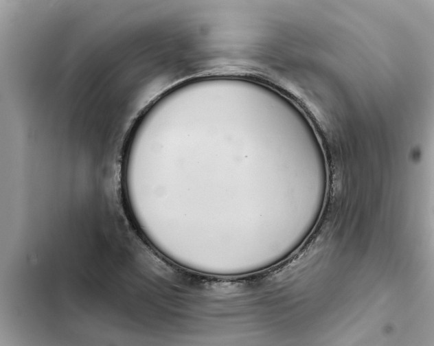 X0000103261459200809191707