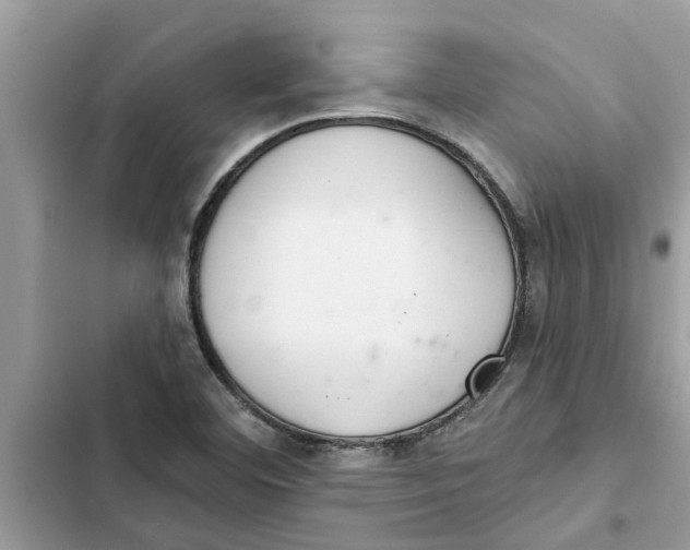 X0000103261460200809191707