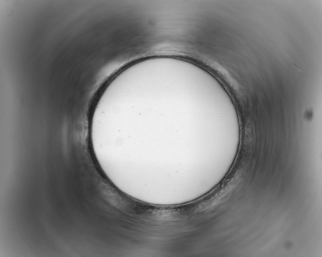 X0000103261461200809191707