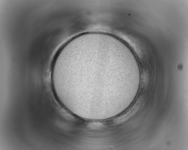 X0000103261462200809191707